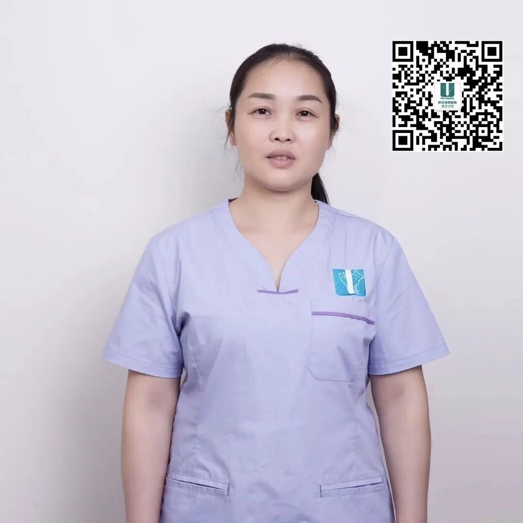 主子们，这样的服务你满意吗？