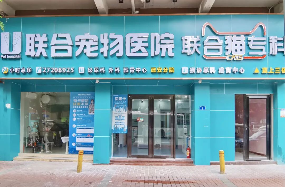 主子们，这样的服务你满意吗？