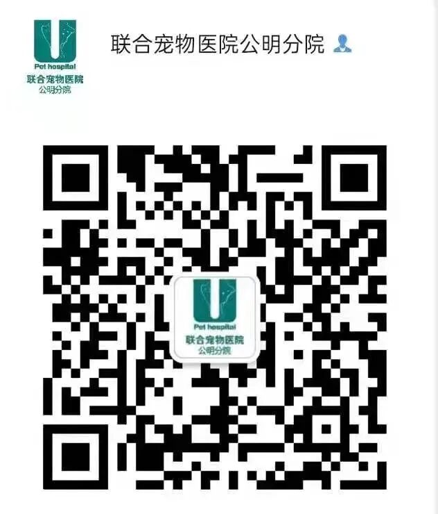 不是吧不是吧，这家的萌宠也要出道了？