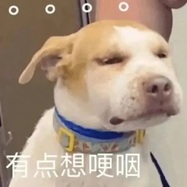 山东搜救犬吃上了专属淄博烧烤！真香！
