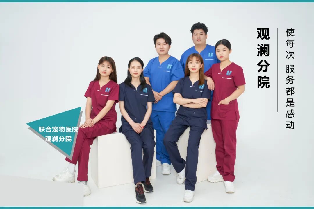 观澜分院开业仪式盛大启幕！