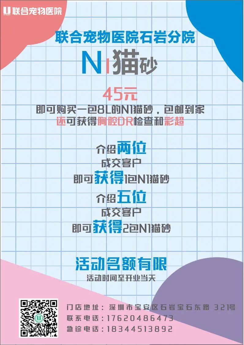 @你家的猫咪：你相信光吗？