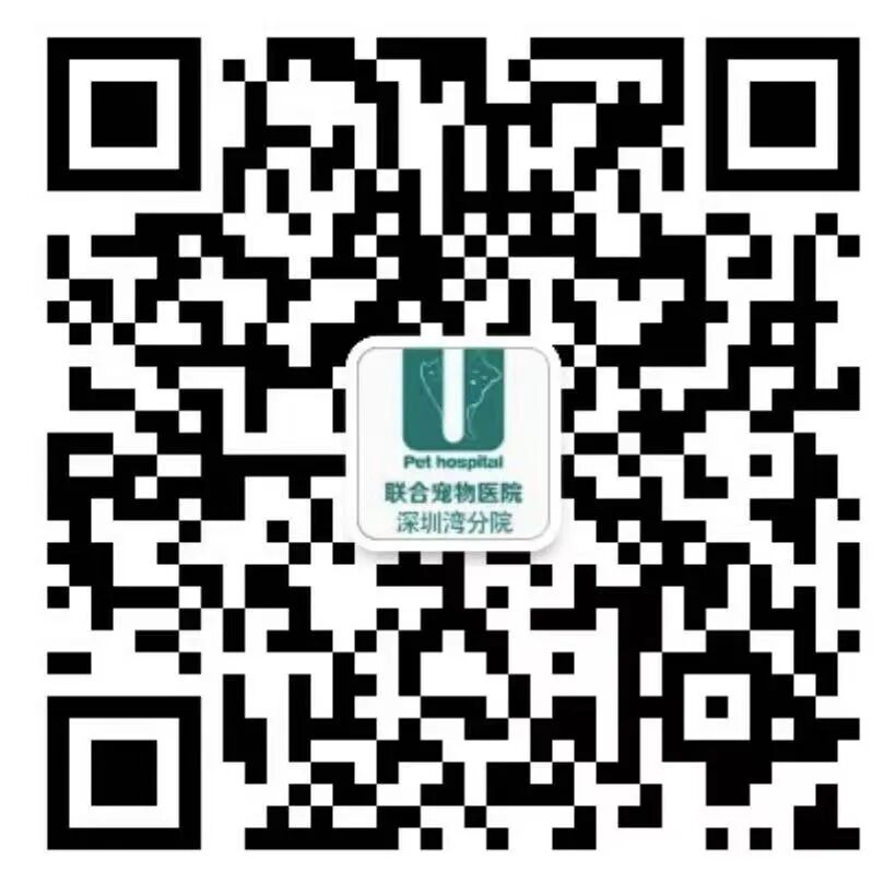 请接好，这是一份猫咪“悬赏令”