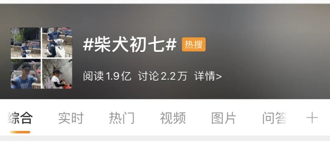 你可以不爱，但请别伤害