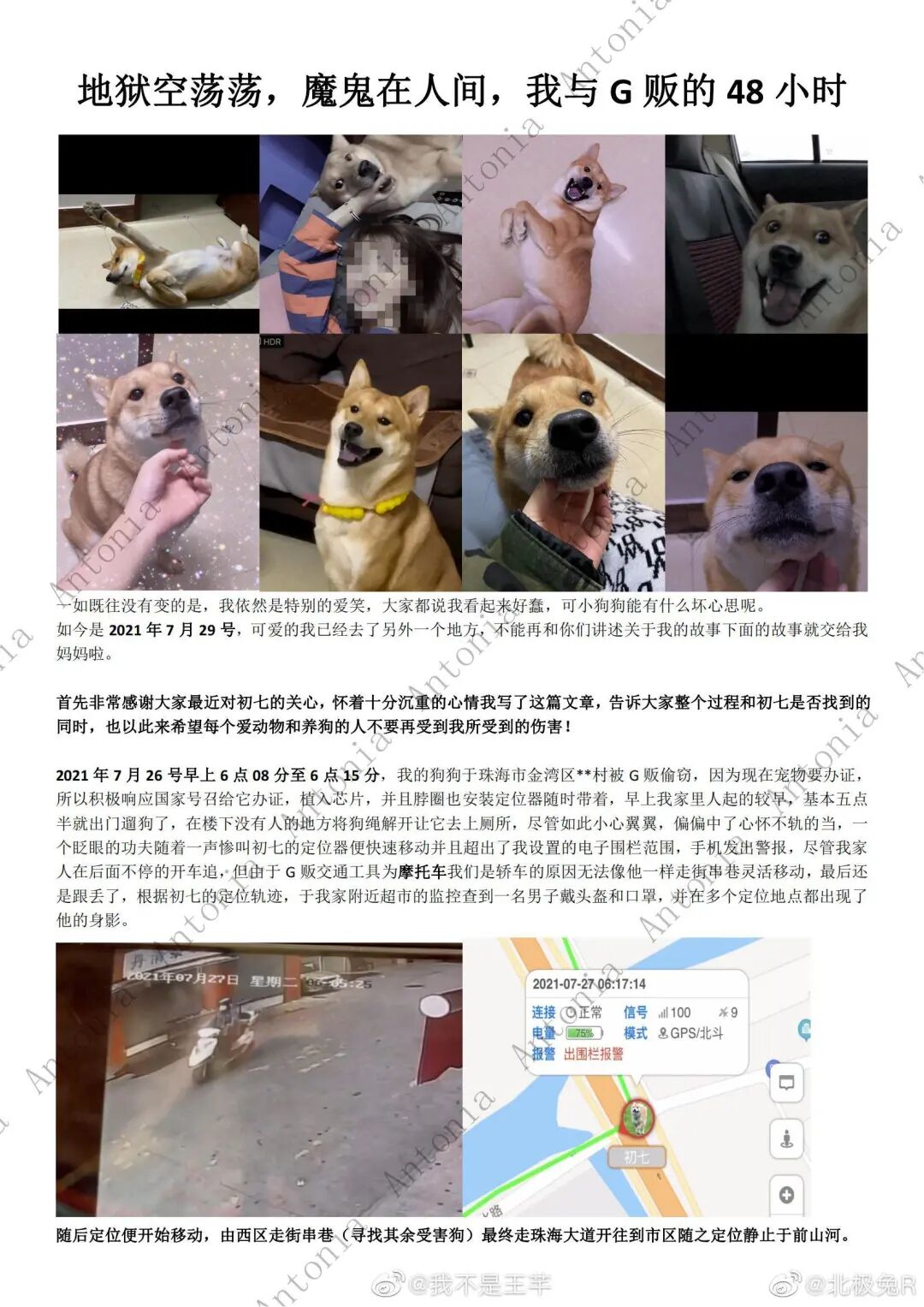 你可以不爱，但请别伤害