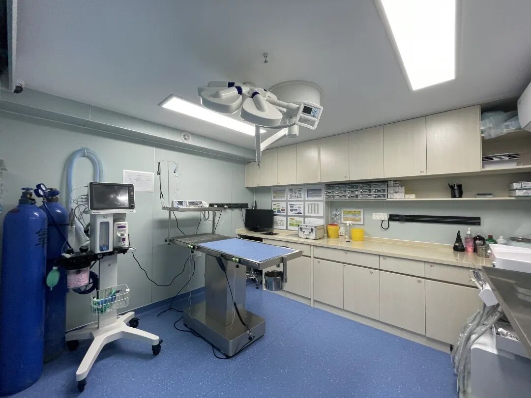 新店开业 | 华强北分院开业仪式圆满成功！