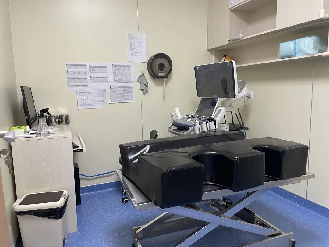 新店开业 | 华强北分院开业仪式圆满成功！