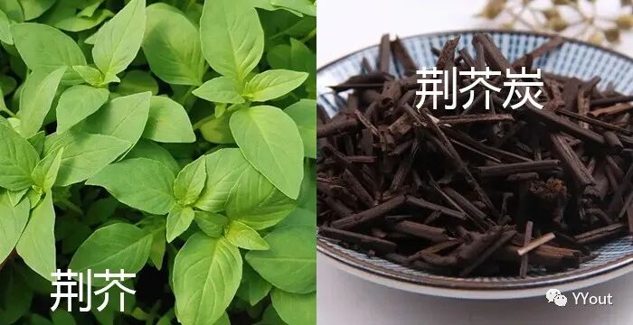 海什么止血【名医马大正治月经量过多秘验方】《凉血清海汤》主治功能性子宫出血或子宫肌瘤致月经过多，属血热者。止血迅捷，疗效显著。_https://www.jmylbn.com_新闻资讯_第9张