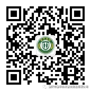 #西安出血熱#上了微博熱搜第一