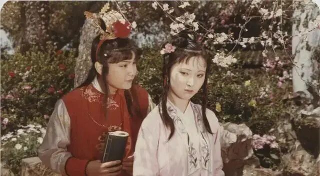 李少红红楼梦_李少红李少红继承人_红楼遗梦