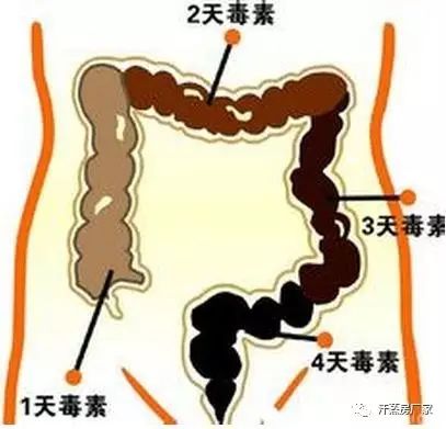 汗蒸=人体毒素过滤器，三伏天不来汗蒸你可就亏了！