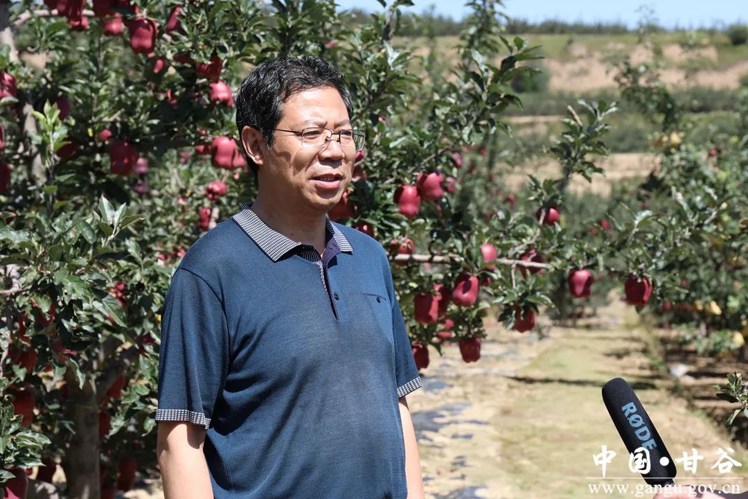 陕西农林卫视致富故事会_农林卫视致富经_陕西农林卫视致富经