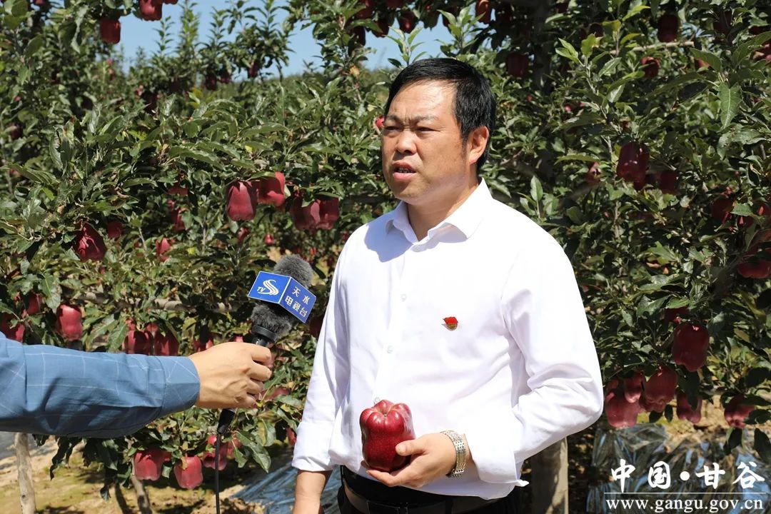 陕西农林卫视致富经_陕西农林卫视致富故事会_农林卫视致富经