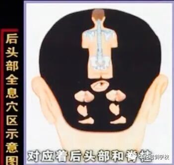 华佗怎么刮痧张秀勤中医全息刮痧教你刮痧保健康（二）教你头部刮痧_https://www.jmylbn.com_新闻资讯_第7张