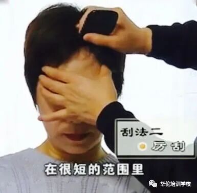 华佗怎么刮痧张秀勤中医全息刮痧教你刮痧保健康（二）教你头部刮痧_https://www.jmylbn.com_新闻资讯_第8张