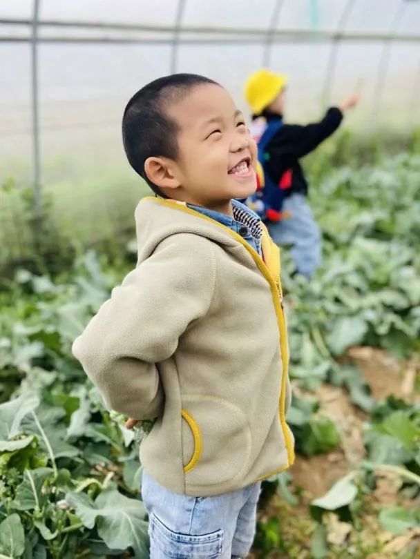 幼儿的心得体会简单写_幼儿经验心得_心得经验幼儿园怎么写