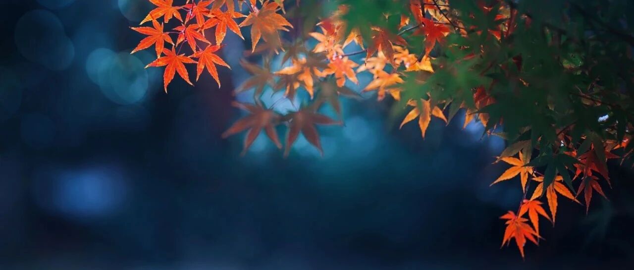 冠脉造影结果正常，为啥还诊断为心肌梗死？