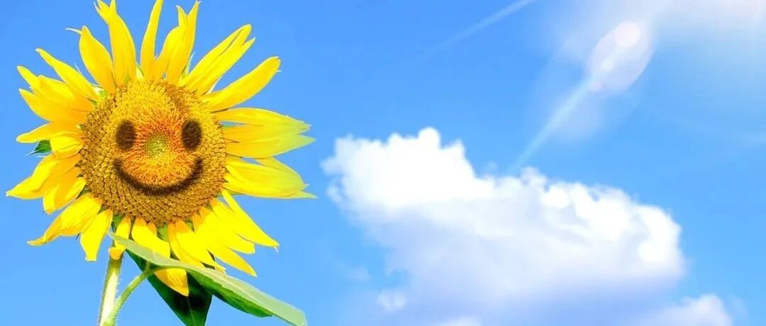 利尿剂使用超强攻略：一篇在手，值班不愁！