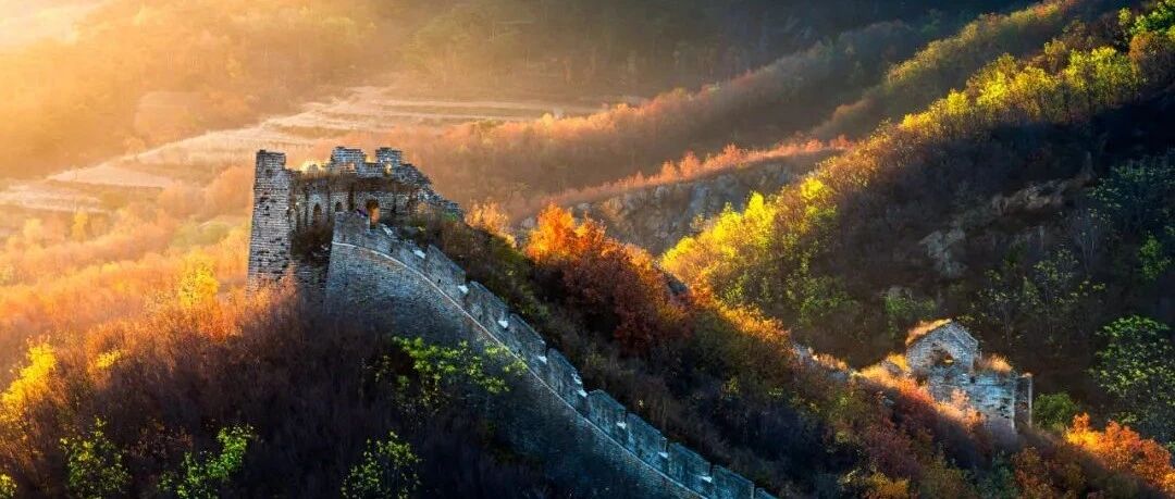 十问十答，邹大进教授详解SGLT2i「不良反应」的预防与处理