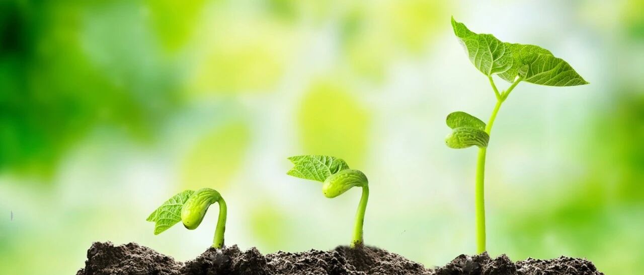 心源性猝死的危险分层及预防，最新共识要点全掌握