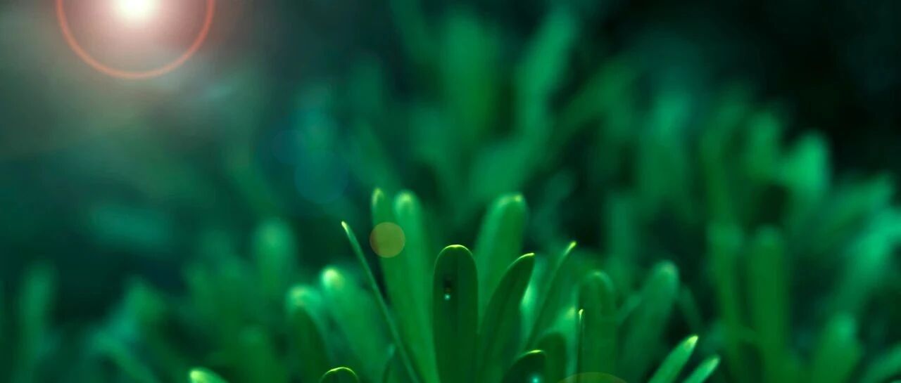 图文详解：冠心病心肌缺血的特异心电表现