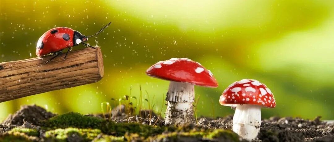 图文总结：长QT综合征的诊治流程和新进展