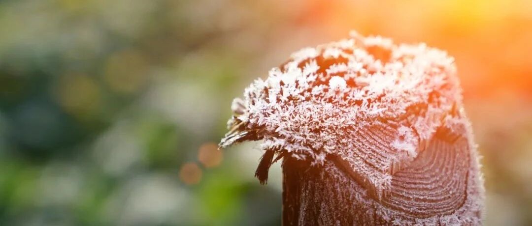 2022年1月心血管指南和共识，一文收入囊中