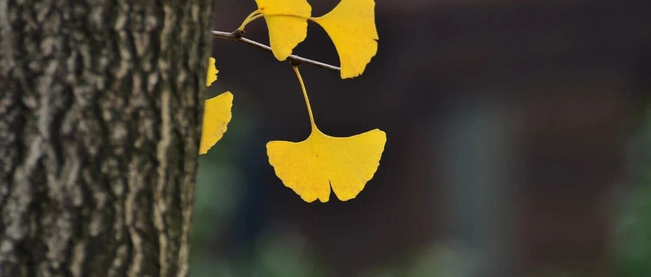 收藏！不同类型降压药物的使用要点和注意事项