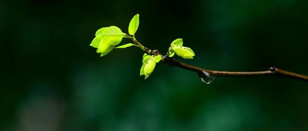 看脸识病：出现这些征象，离冠心病可能就不远了！