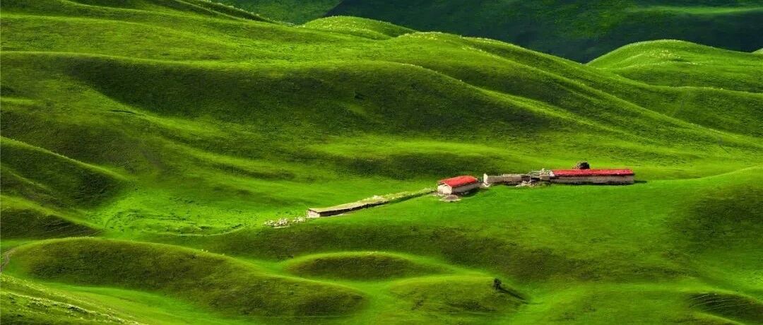 值班必备：室性心动过速的紧急处理要点