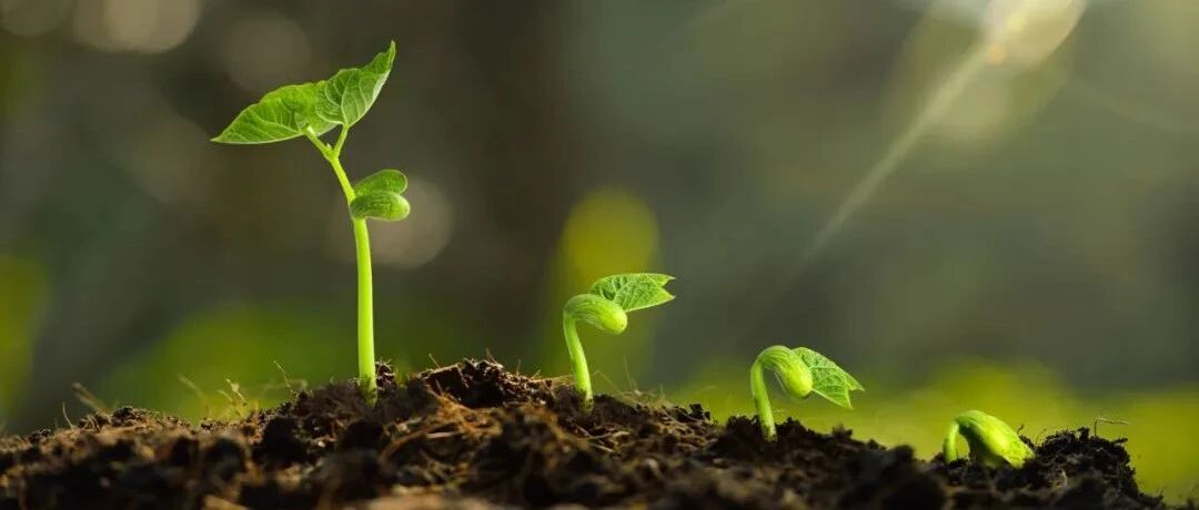 急性肺栓塞如何进行个体化抗凝治疗，黄岚教授这样说！