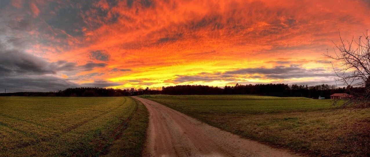 胸痛、胸闷……不是ACS，而是“死神之征”！｜急诊“心”事