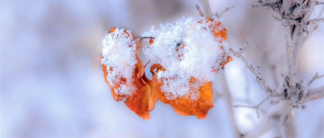 心衰合并心律失常，图文详解治疗流程