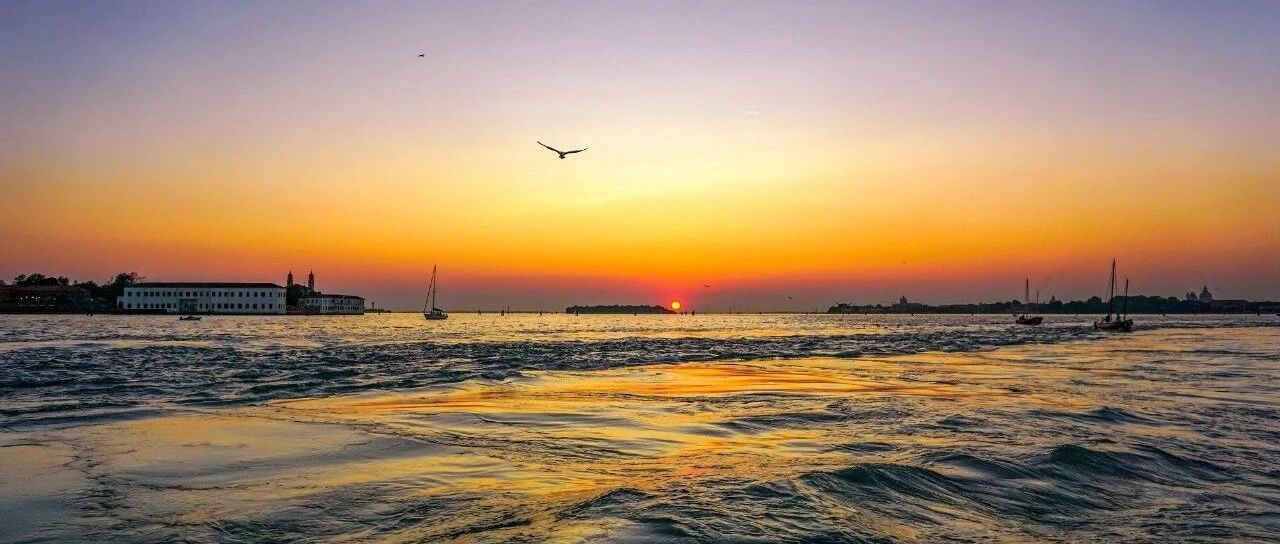 冠脉造影刚开始患者突发脑出血，法官“霸气”推翻鉴定意见拉高赔偿比例