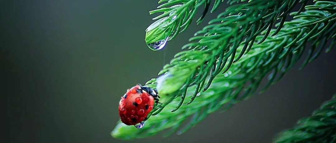 图文解析：稳定型心绞痛的最佳药物治疗方案是什么？