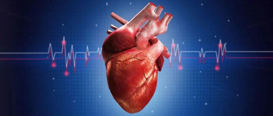 周玉杰教授团队：冠心病患者加用阿利西尤单抗强化降脂，可稳定冠脉斑块，对降低不良心血管事件有积极影响