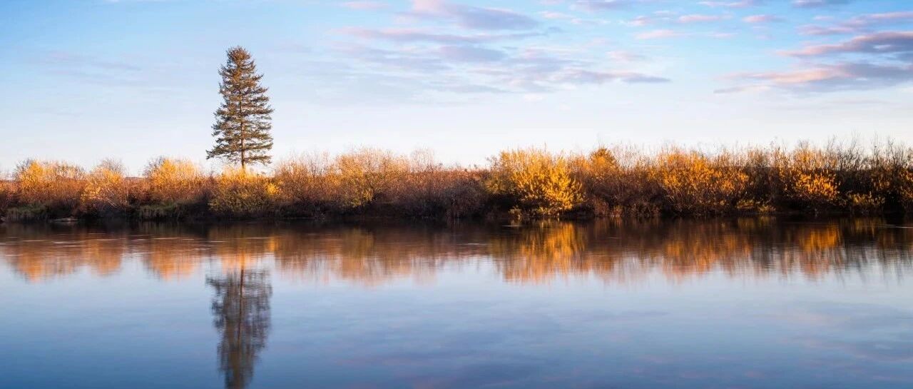 伊伐布雷定何时用、如何用？请查收这份“详细攻略”｜临床“药”点