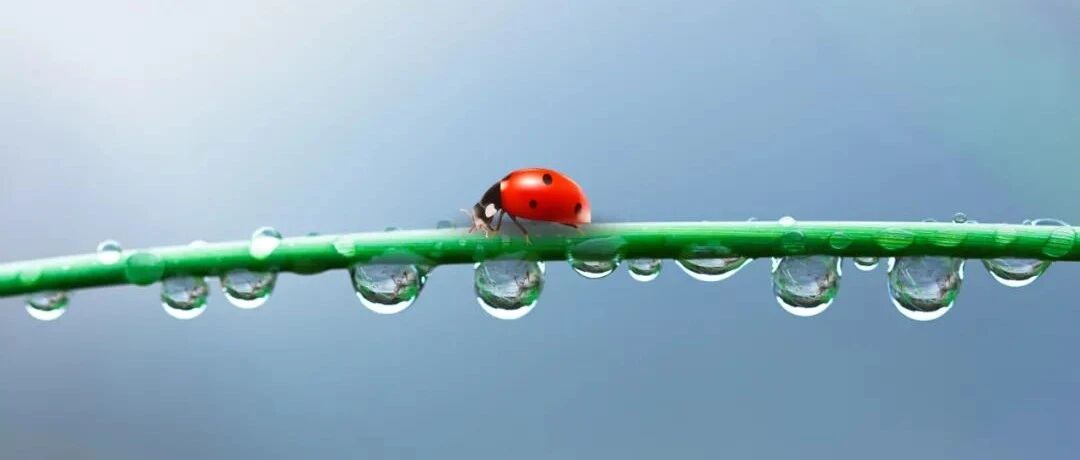 JACC综述：急性心肌梗死后左室血栓