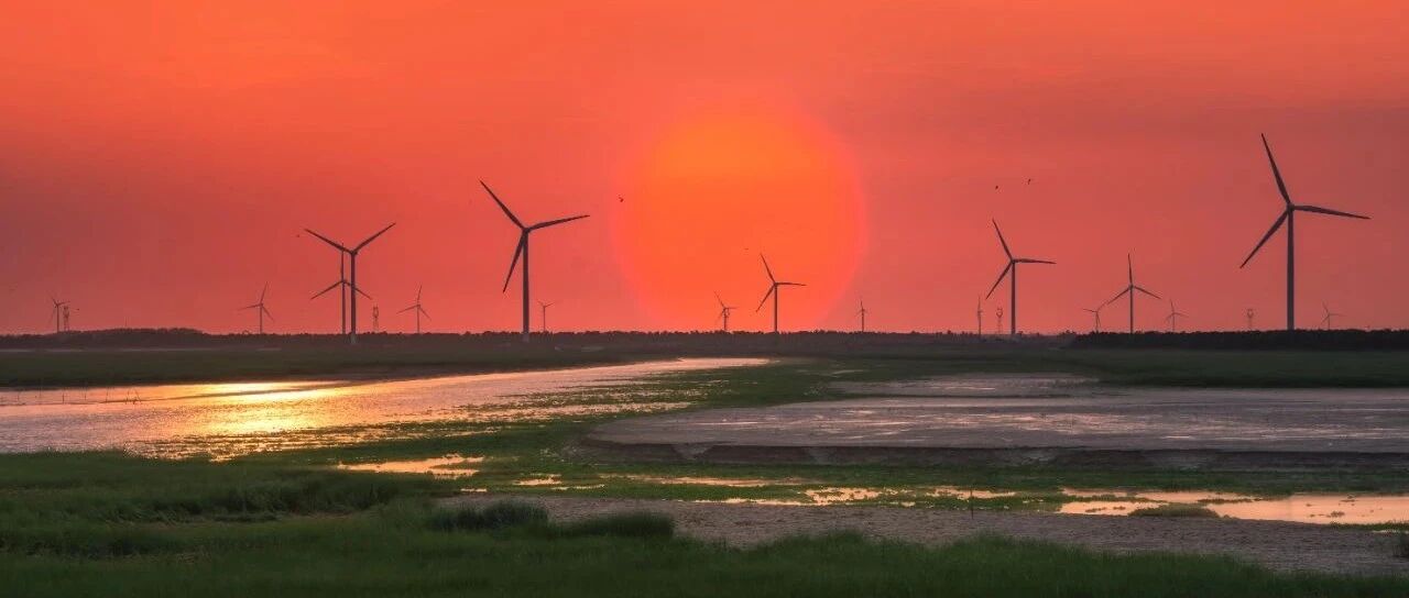 心衰患者病情多变，11种药物治疗方案助你应对