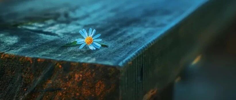 经常心慌？当心脑梗！