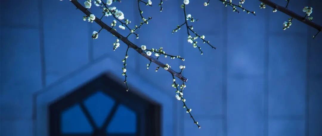 男子突发腰背痛，胸口如压大石｜20万以上的惊险抢救