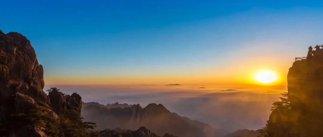 心衰合并冠心病、高血压或卒中，如何管理？