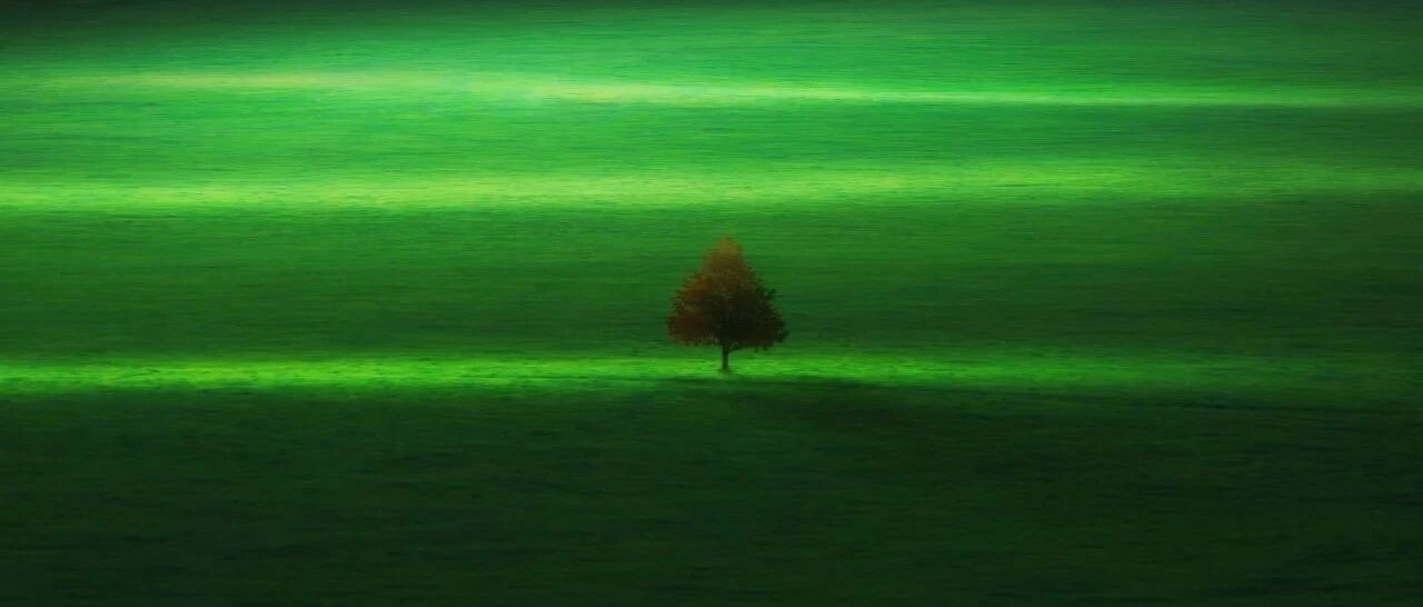 心率慢就用异丙肾？可能越用越慢！