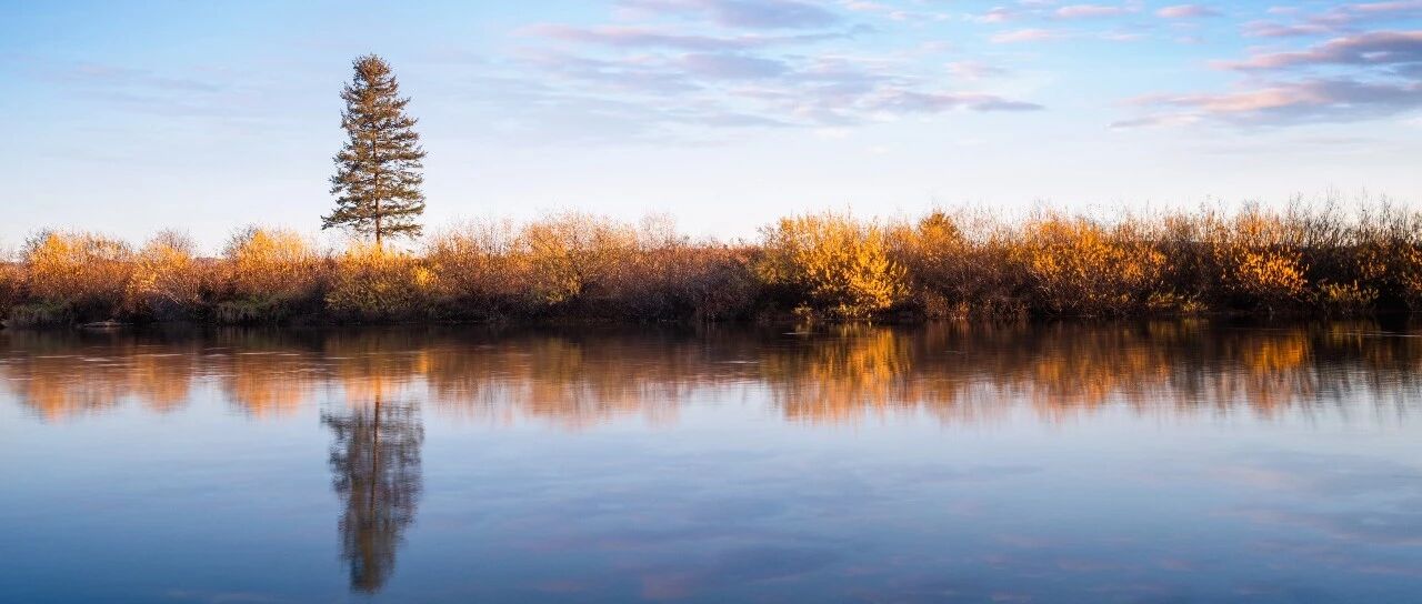 19张图，归纳心脏性猝死的心电图预警