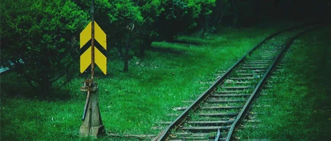 哪些药物可以逆转动脉粥样硬化斑块？｜高分综述