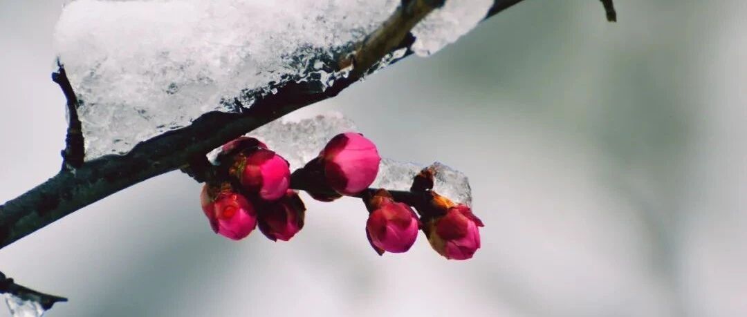 2021年血脂异常领域指南和共识汇总