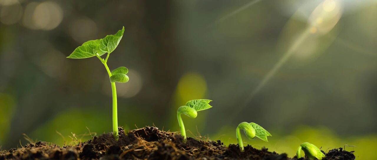 9部最新心血管指南和共识，一文收入囊中｜6月指南更新