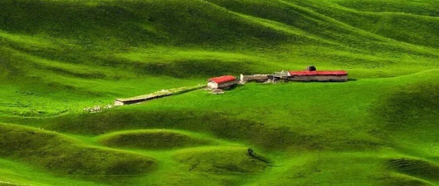 他汀吃了不舒服，血脂高又有斑块咋办？有哪些新武器能降血脂？