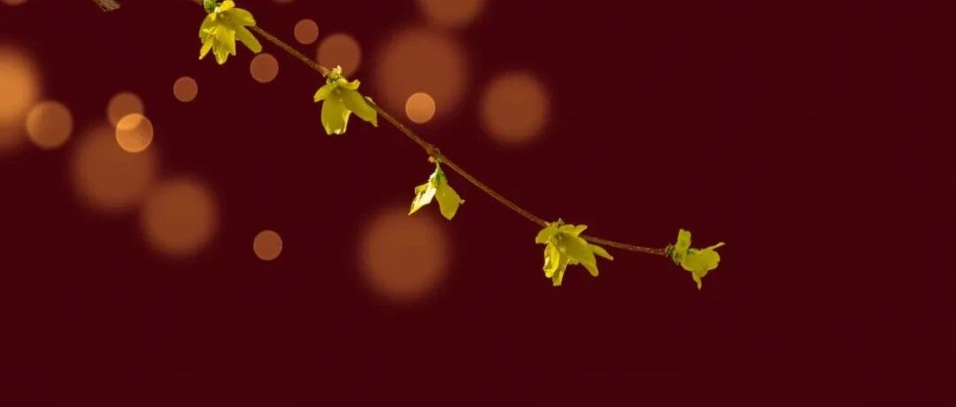 我国发布新版房颤管理指南，5分钟速览更新要点！