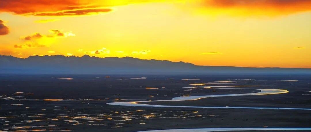 天天吃药，为什么血压仍忽高忽低？